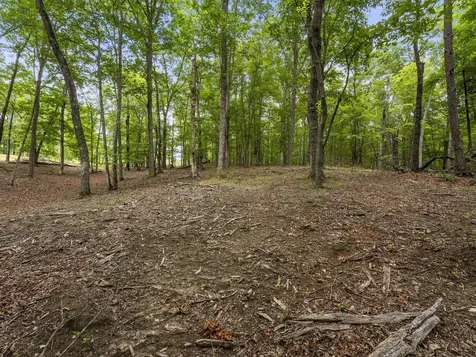 0 Eagle Rock Road Monteagle TN 37356