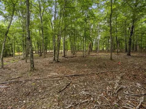 0 Eagle Rock Road Monteagle TN 37356