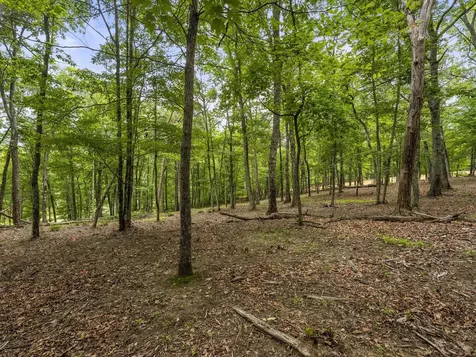 0 Eagle Rock Road Monteagle TN 37356