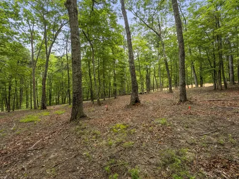 0 Eagle Rock Road Monteagle TN 37356