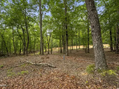 0 Eagle Rock Road Monteagle TN 37356