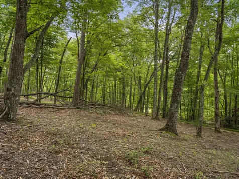 0 Eagle Rock Road Monteagle TN 37356