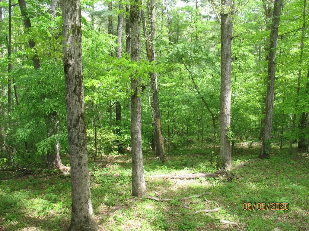 1555 Brown Creek Drive Crossville TN 38571