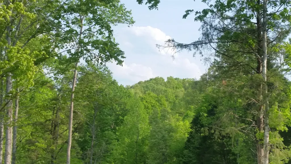 7454 Sugar Camp Hollow Road Fairview TN 37062