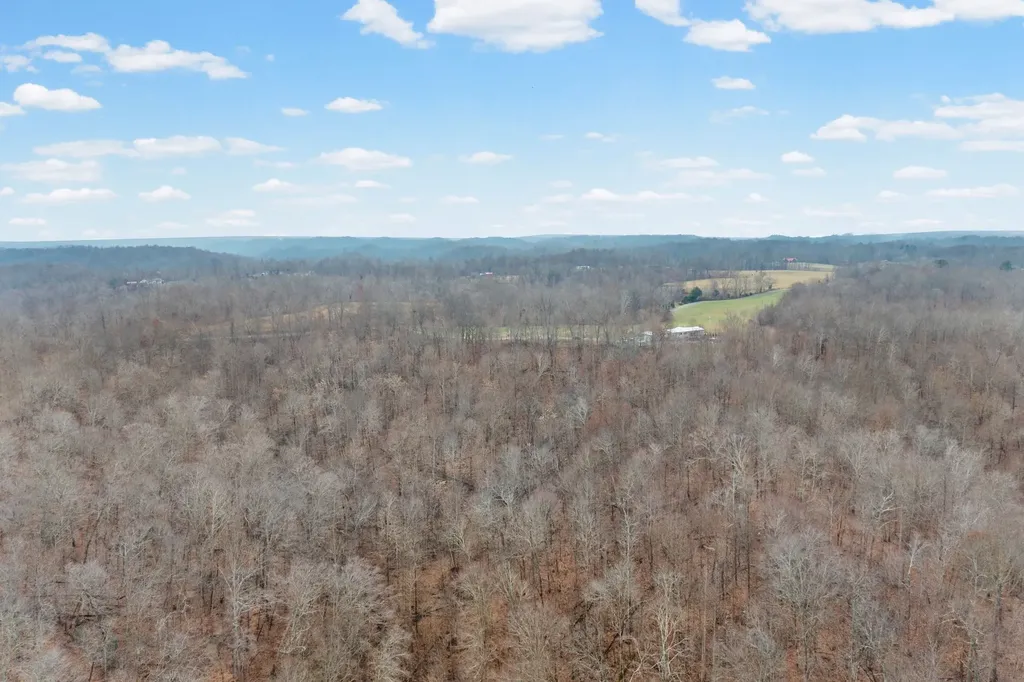 1750 S Fork Road Whitleyville TN 38588