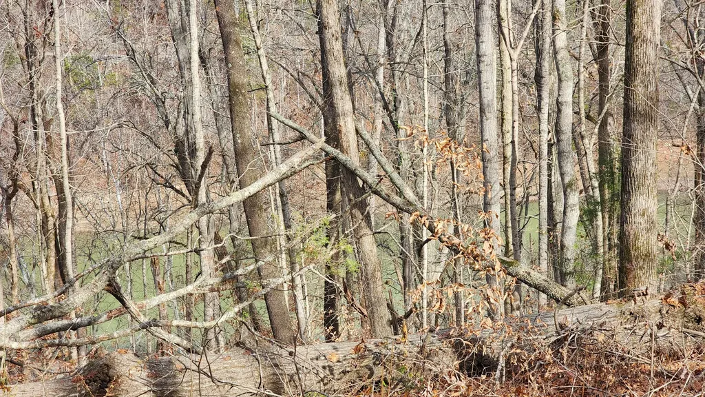 5615 Eastport Road Alpine TN 38543