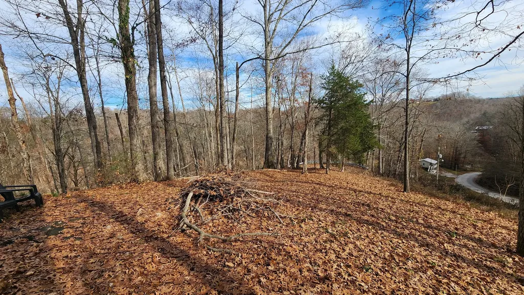 5615 Eastport Road Alpine TN 38543