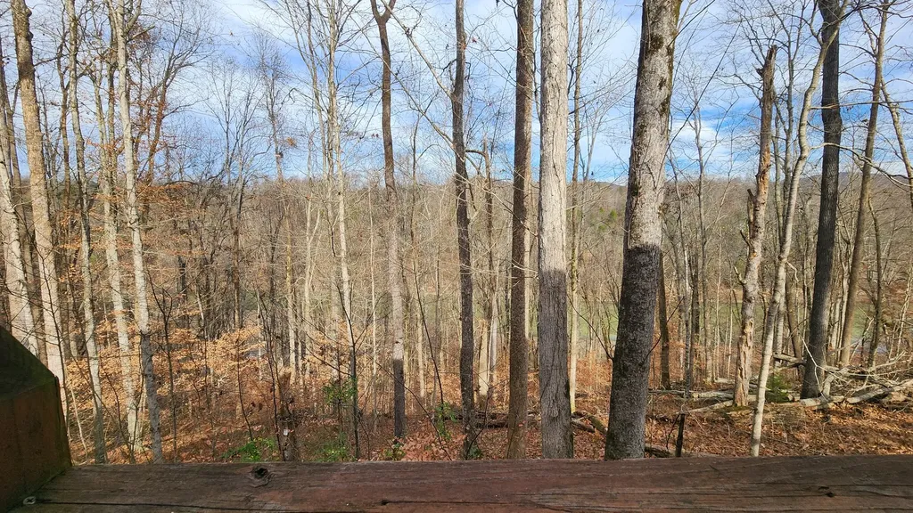 5615 Eastport Road Alpine TN 38543
