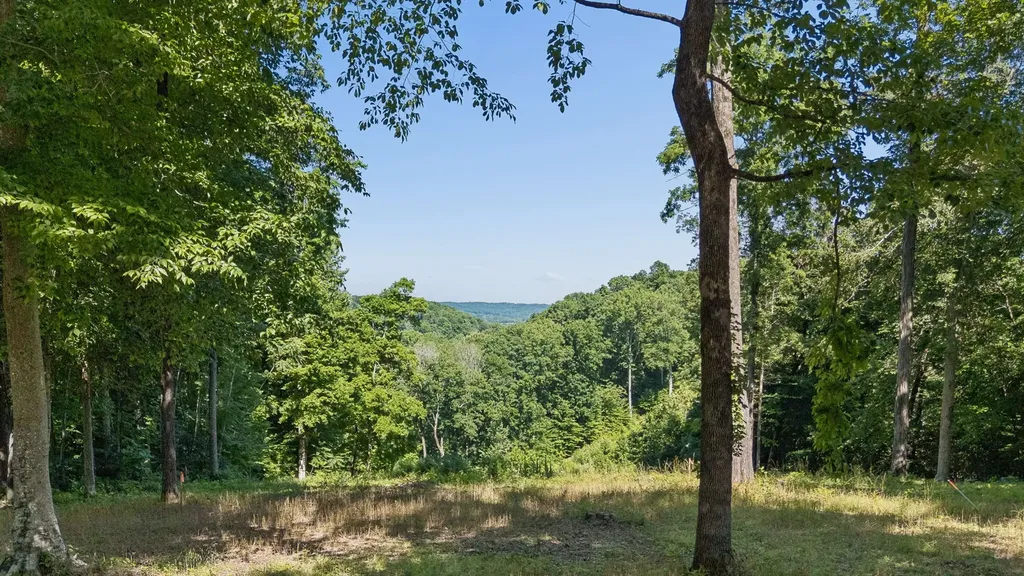 5436 Parker Branch Road Franklin TN 37064