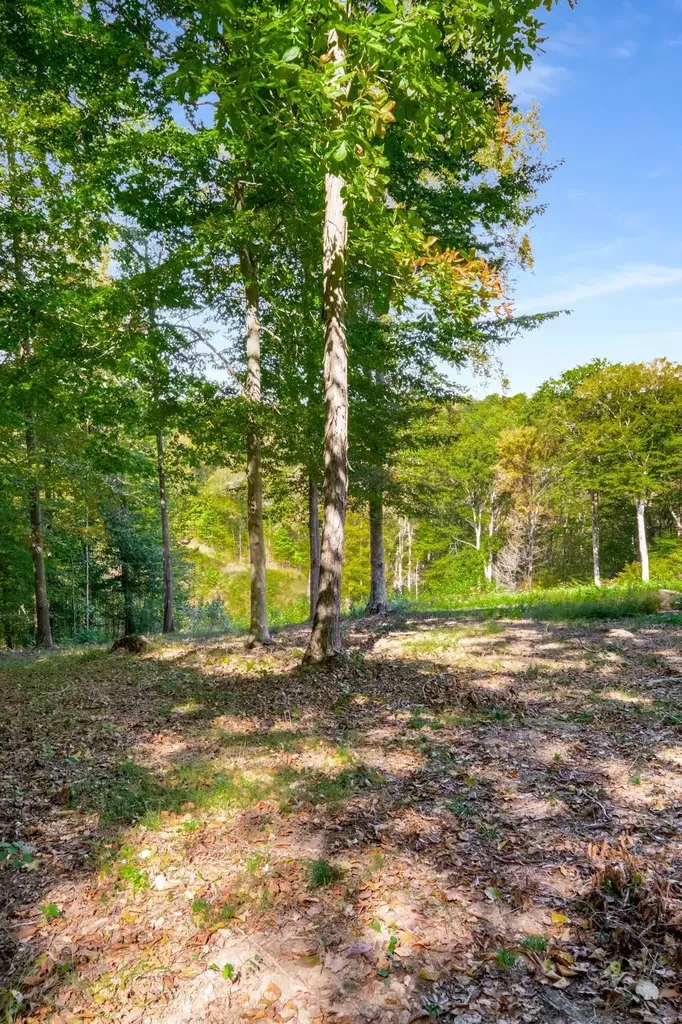 5436 Parker Branch Road Franklin TN 37064