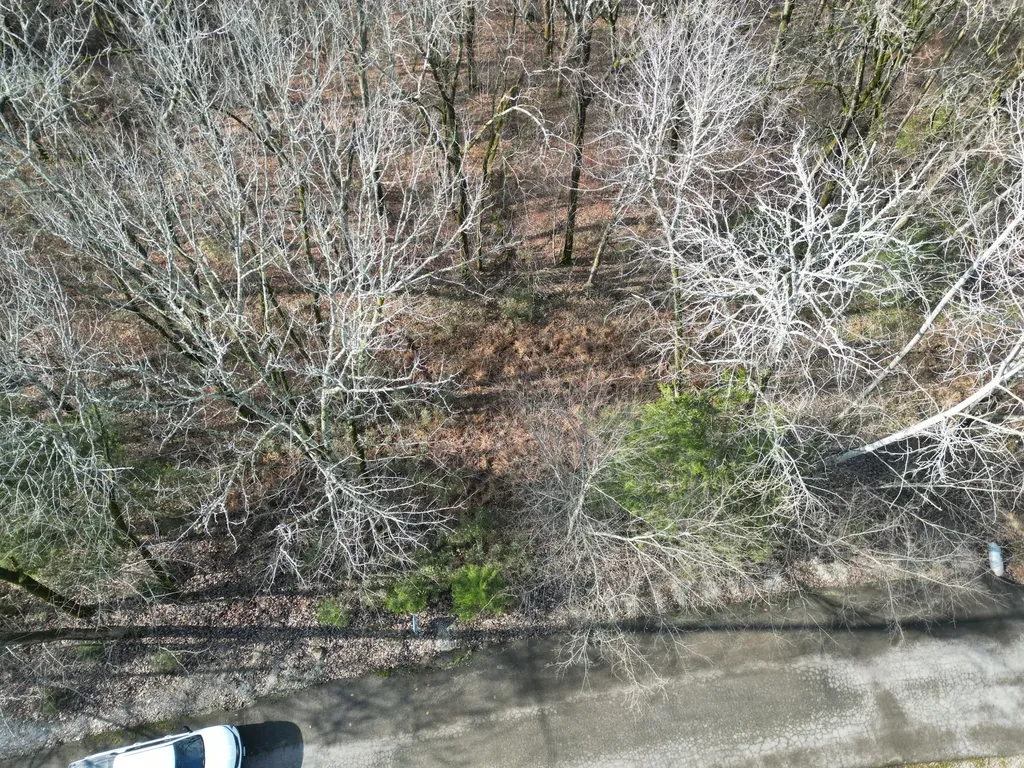 0 Wilson Circle Smithville TN 37166