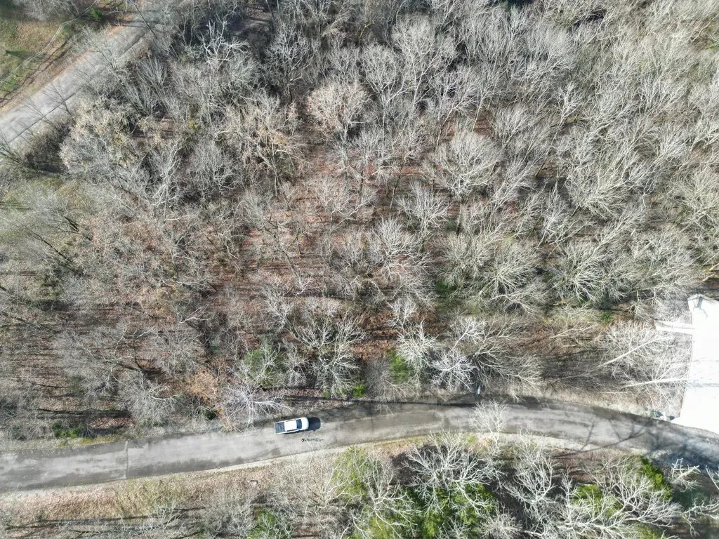 0 Wilson Circle Smithville TN 37166