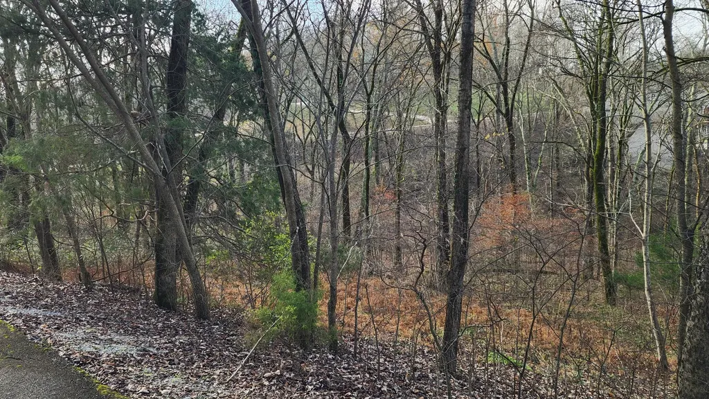 0 Wilson Circle Smithville TN 37166