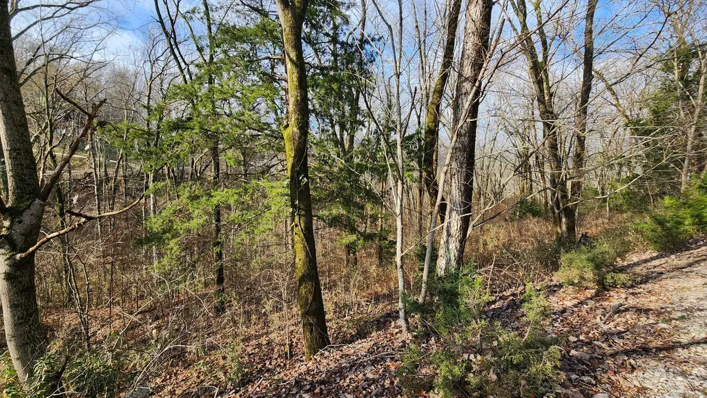 0 Wilson Circle Smithville TN 37166