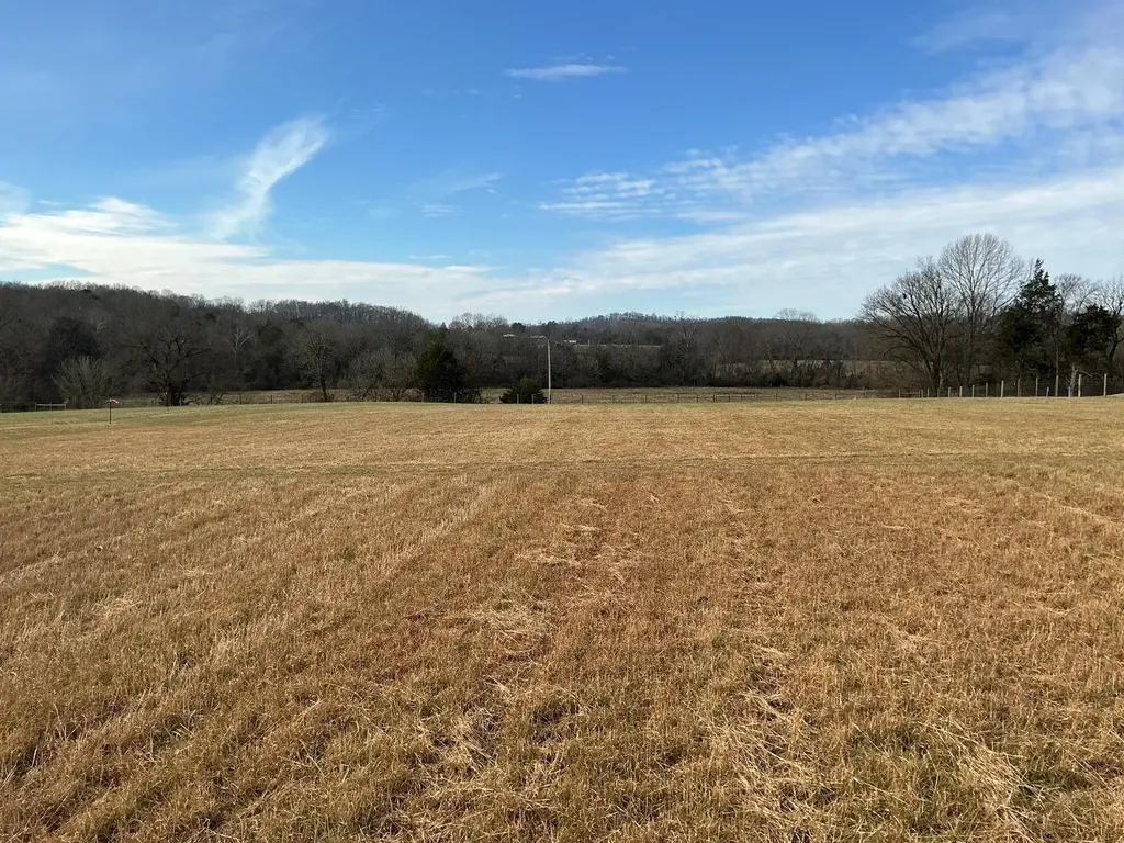 0 Three Forks Bridge Road Wartrace TN 37183