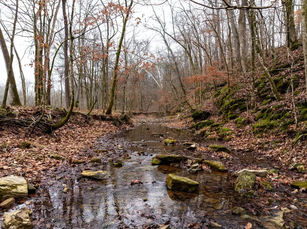 0 Shelter Branch Road Cumberland Furnace TN 37051