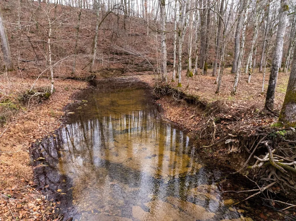 0 Shelter Branch Road Cumberland Furnace TN 37051
