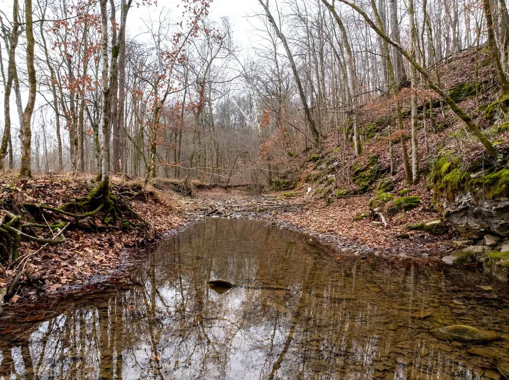 0 Shelter Branch Road Cumberland Furnace TN 37051