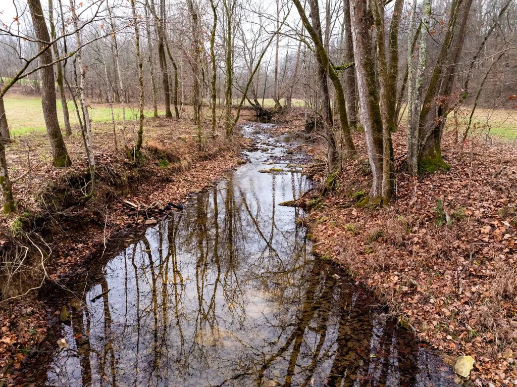0 Shelter Branch Road Cumberland Furnace TN 37051