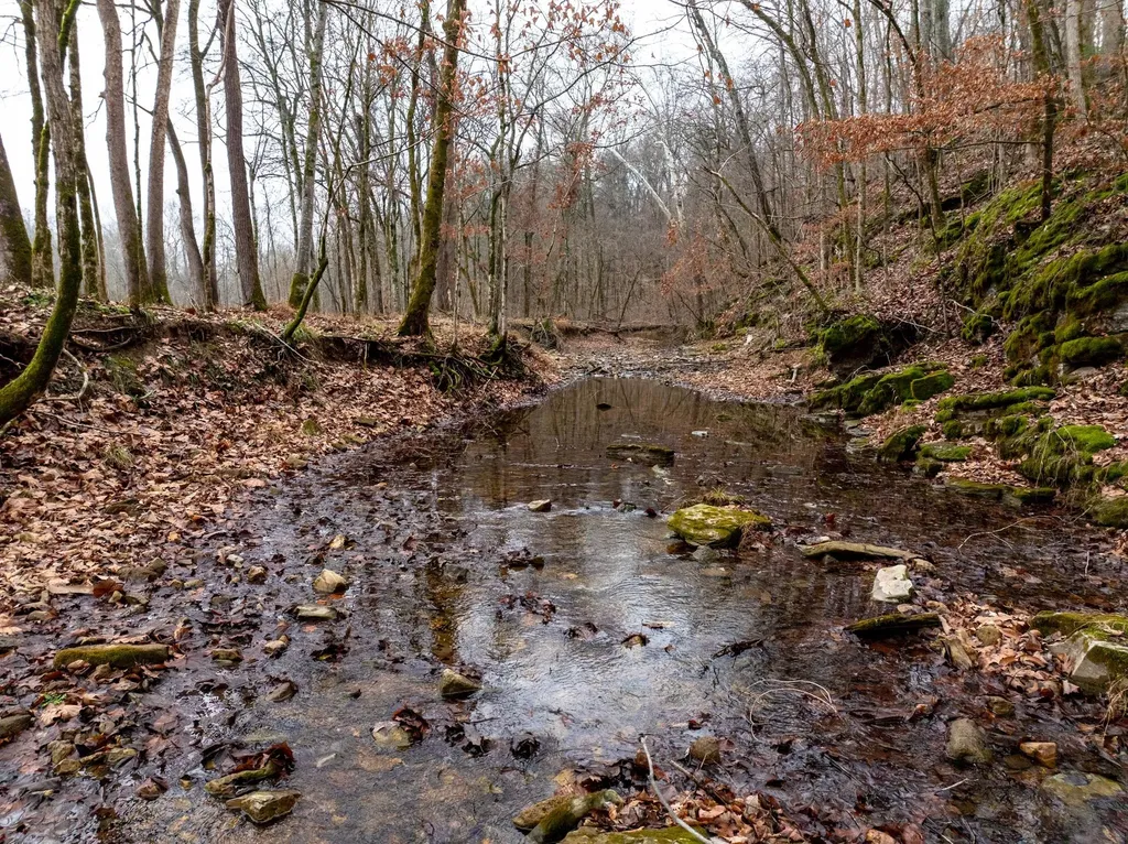 0 Shelter Branch Road Cumberland Furnace TN 37051
