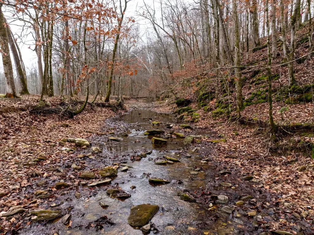 0 Shelter Branch Road Cumberland Furnace TN 37051