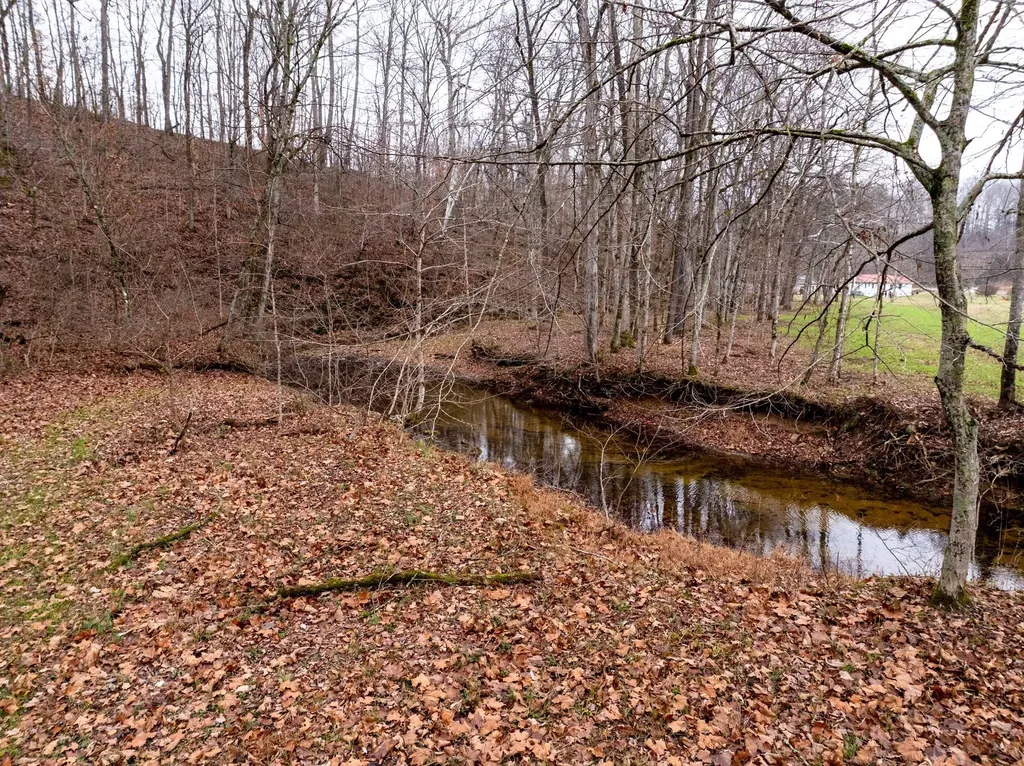 0 Shelter Branch Road Cumberland Furnace TN 37051