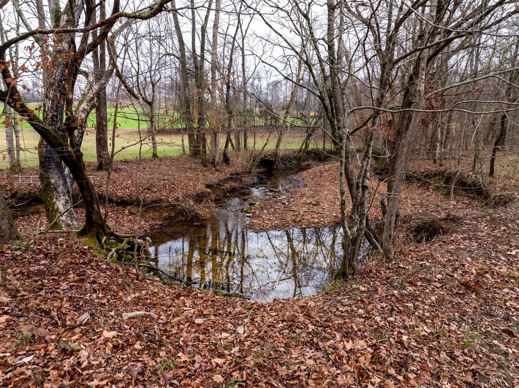 0 Shelter Branch Road Cumberland Furnace TN 37051