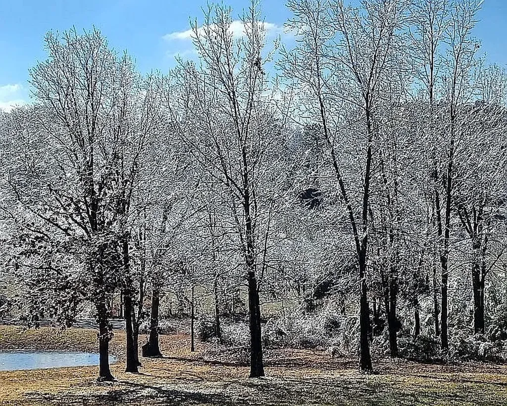959 Herman Adams Road Cumberland City TN 37050