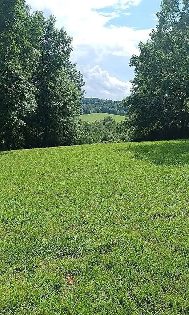 959 Herman Adams Road Cumberland City TN 37050