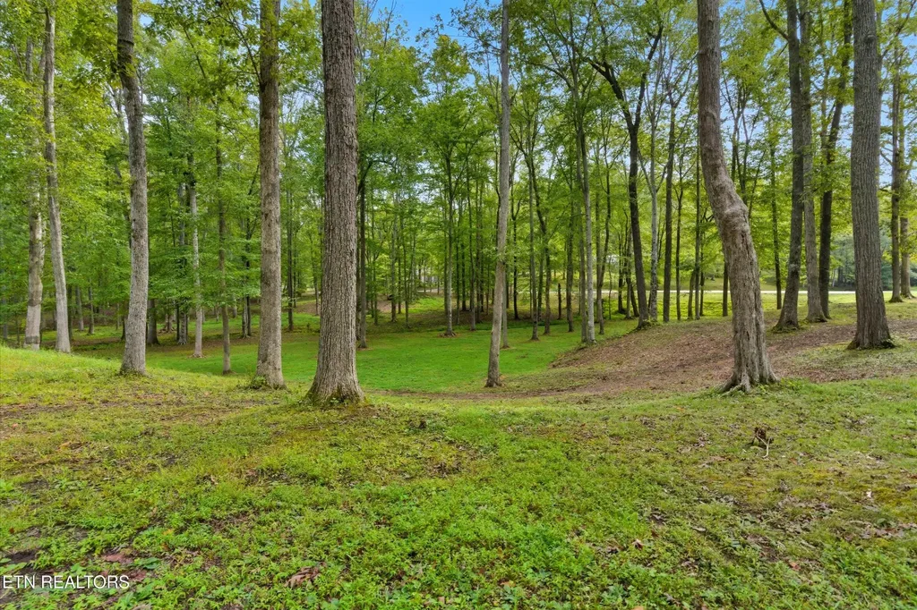 605 S Lake Drive Oneida TN 37841