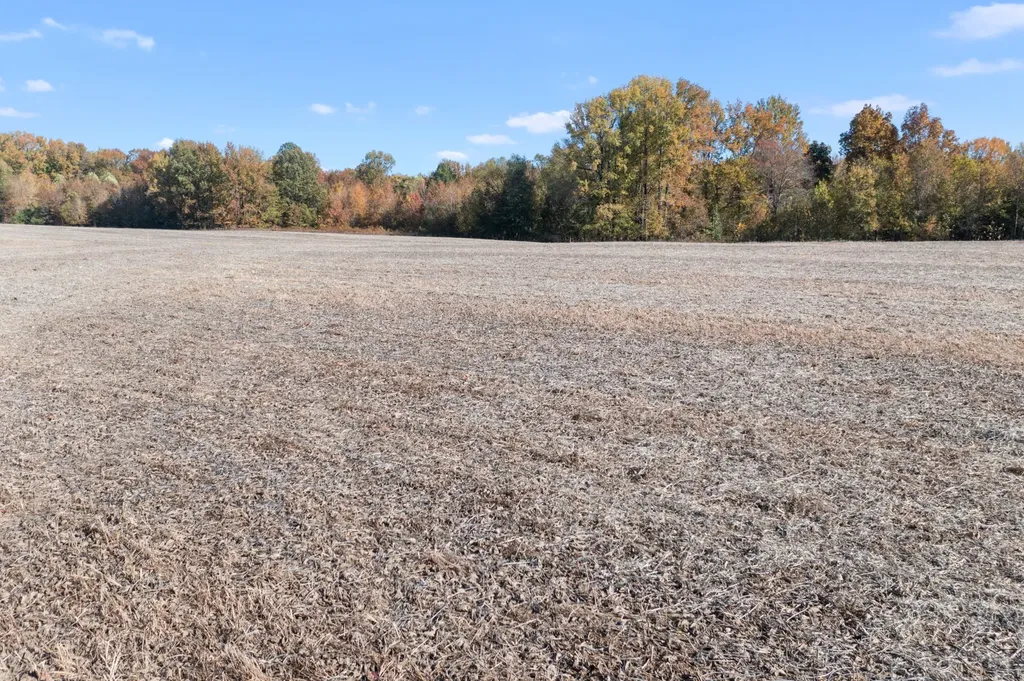 0 Hwy 431, N Springfield TN 37172