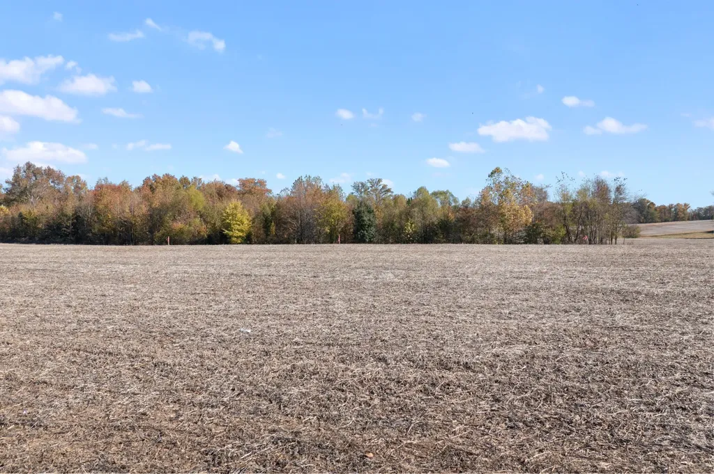 0 Hwy 431, N Springfield TN 37172