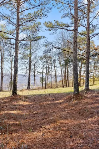 0 River Bluffs Drive Jasper TN 37347