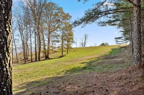 0 River Bluffs Drive Jasper TN 37347
