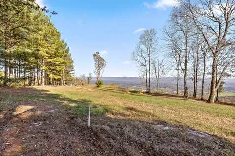 0 River Bluffs Drive Jasper TN 37347
