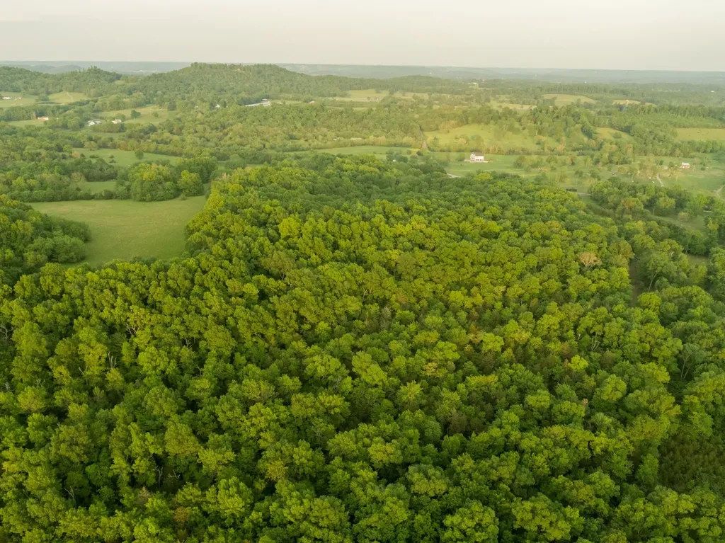 775 Railroad Road Wartrace TN 37183