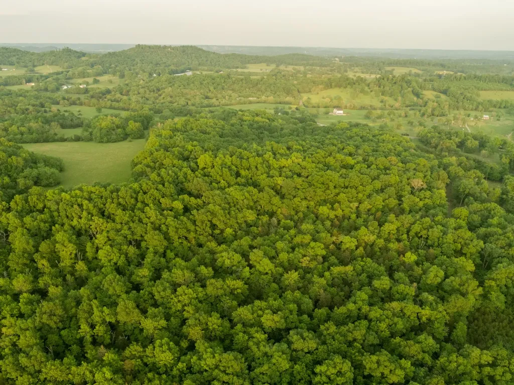 775 Railroad Road Wartrace TN 37183