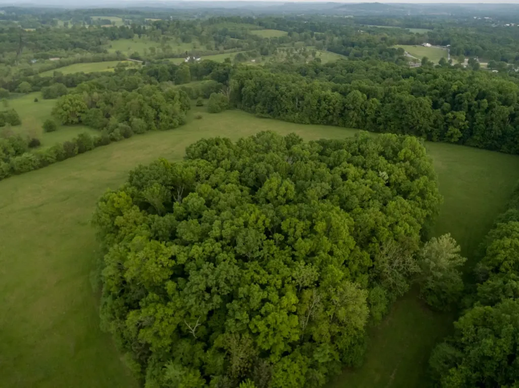 775 Railroad Road Wartrace TN 37183