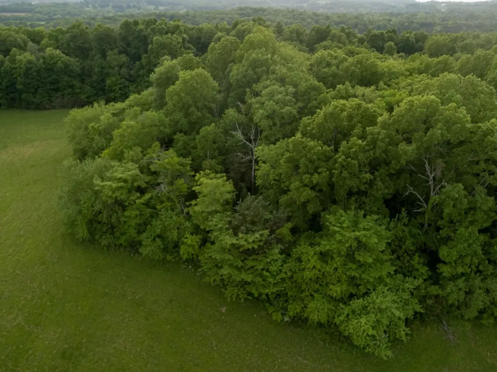 775 Railroad Road Wartrace TN 37183