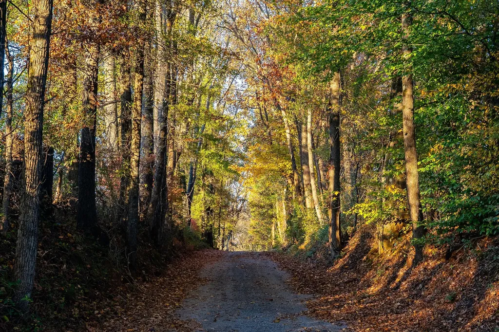 0 Collier Lane Rock Island TN 38581