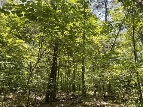 0 Tate Trail Sewanee TN 37375