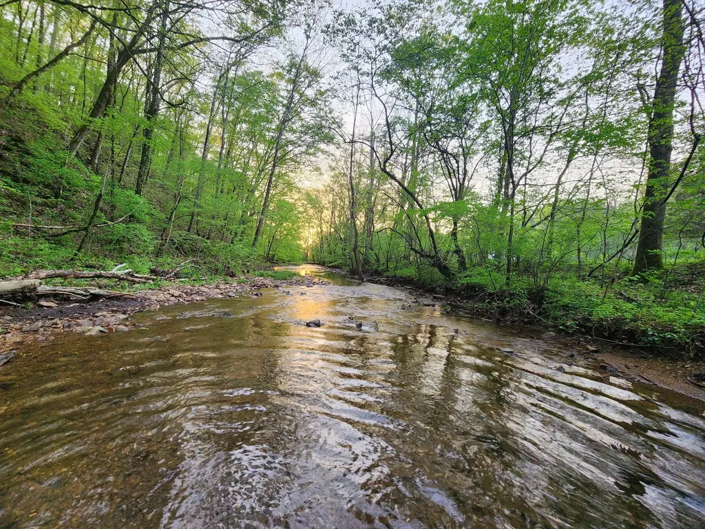 0 Blowing Springs Road Lawrenceburg TN 38464