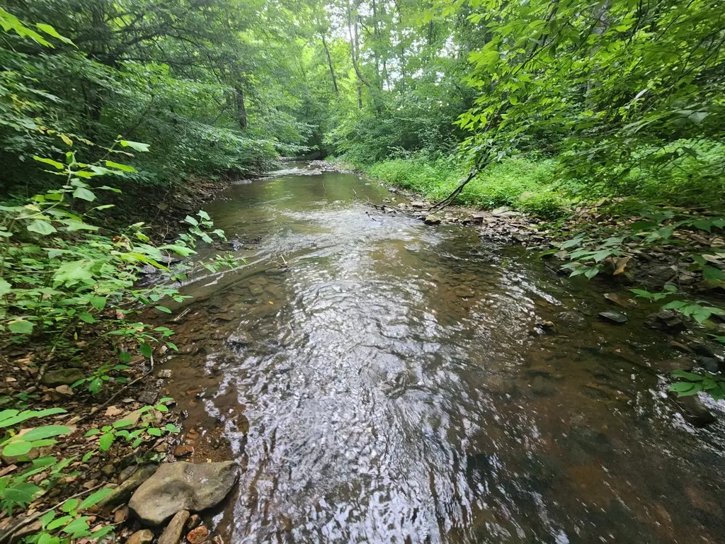 0 Blowing Springs Road Lawrenceburg TN 38464