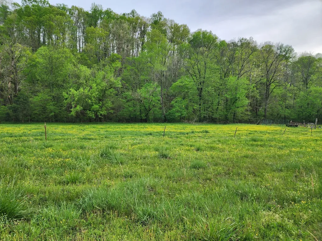 0 Blowing Springs Road Lawrenceburg TN 38464