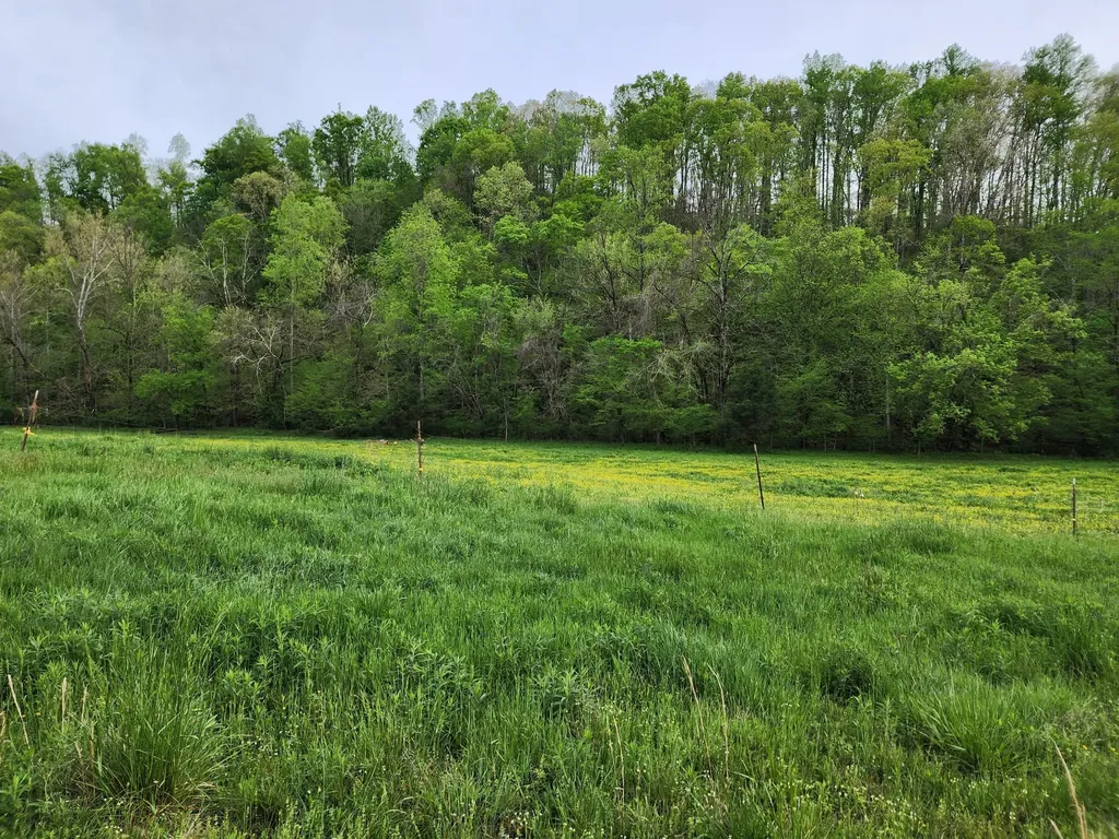 0 Blowing Springs Road Lawrenceburg TN 38464