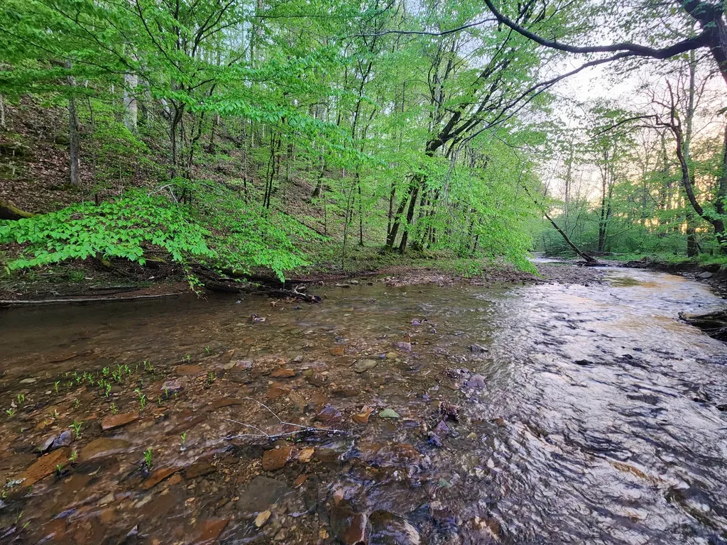 0 Blowing Springs Road Lawrenceburg TN 38464