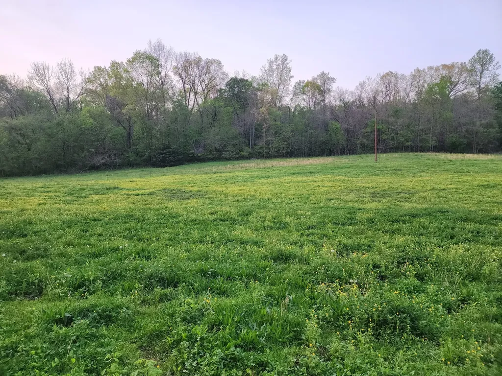 0 Blowing Springs Road Lawrenceburg TN 38464