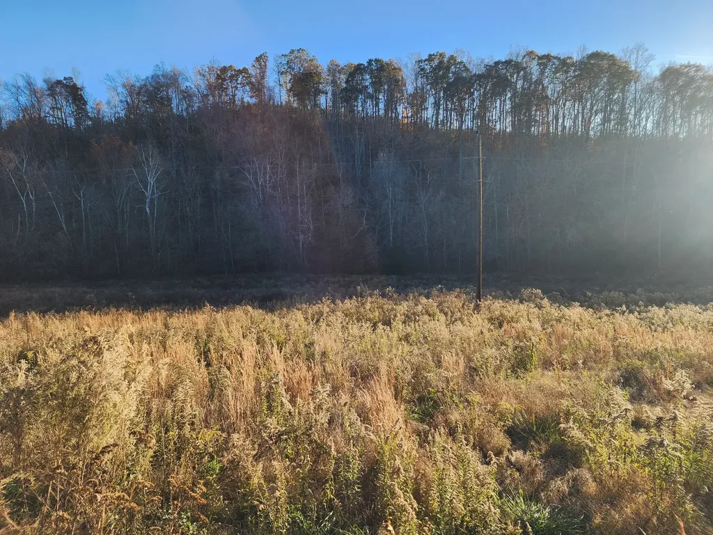 0 Blowing Springs Road Lawrenceburg TN 38464