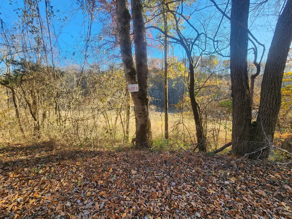 0 Blowing Springs Road Lawrenceburg TN 38464
