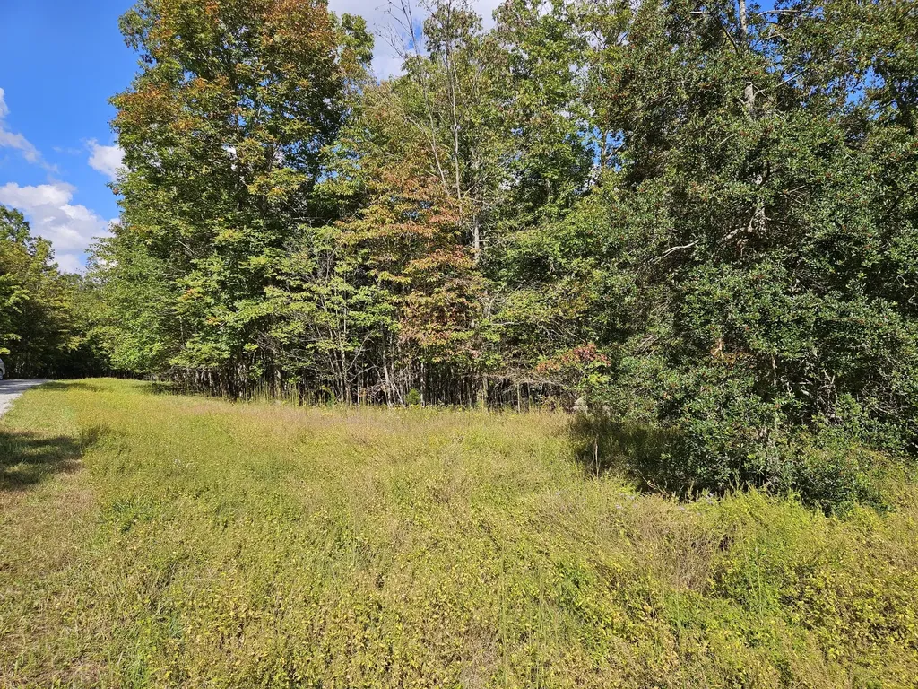 0 Holly Lane Spencer TN 38585